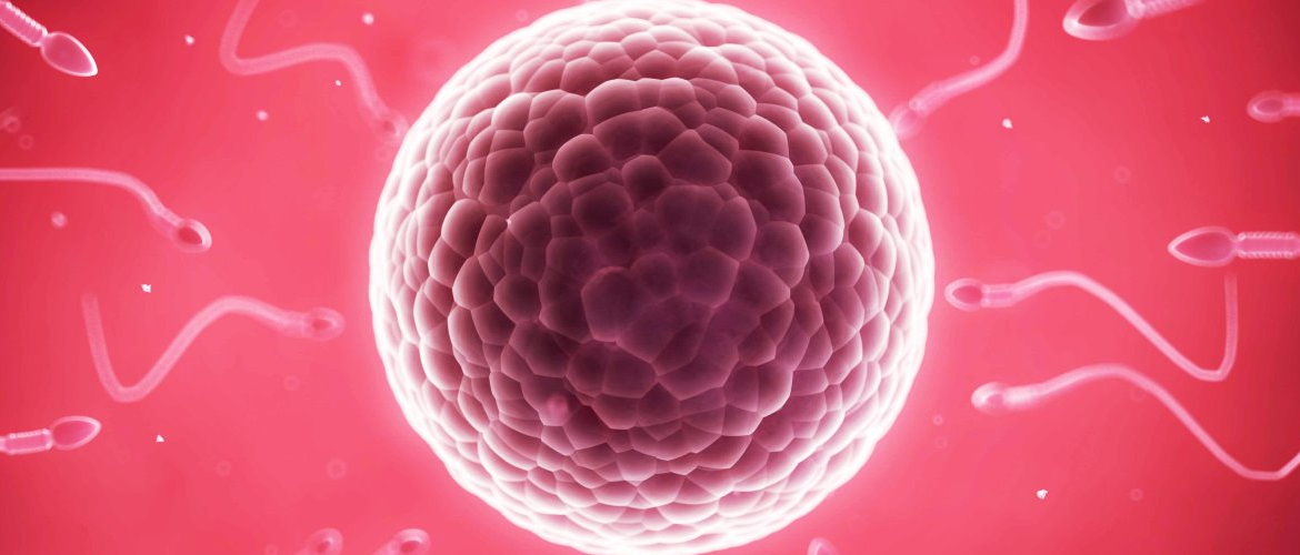 Ciclos menstruais irregulares podem atrapalhar a fertilidade - Dr. Fábio